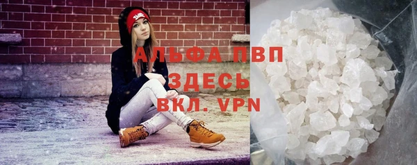 стафф Аркадак