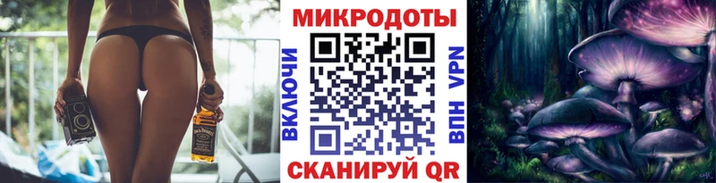 где найти   Таруса  Псилоцибиновые грибы MAGIC MUSHROOMS 